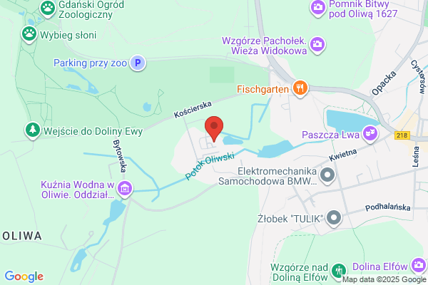 Nasze Miasto. Serwis internetowy