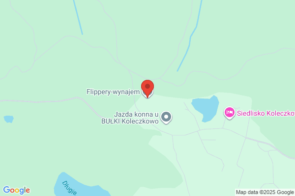 Flipper. Biuro podrózy. Switajski K.