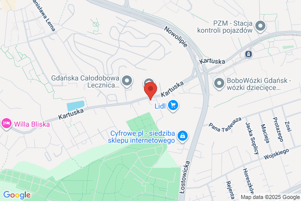 Ekopeving. Ukladanie kostki brukowej. Knodel M.