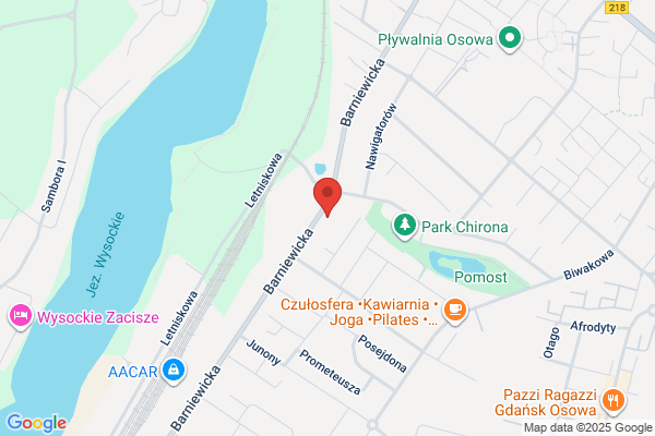 "Tacho Driver" Ewidencja Czasu Pracy Kierowców