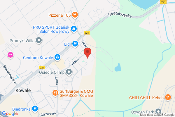 Domasz. Czyszczenie dywanów i tapicerek