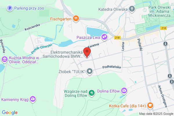 Lukasiuk Robert. Elektryka samochodowa