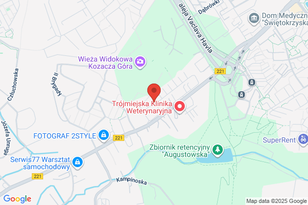 Cichy Marcin, inz. Uslugi geodezyjne