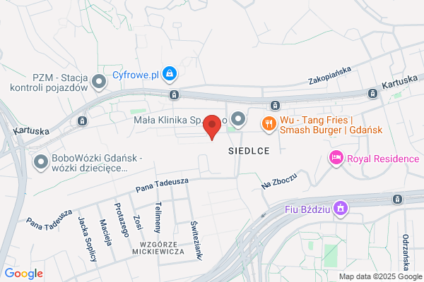 Depta Lidia. Uslugi geodezyjne
