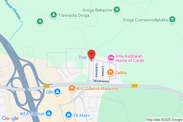 Diaz. Uslugi geodezyjne. Papiery, folie