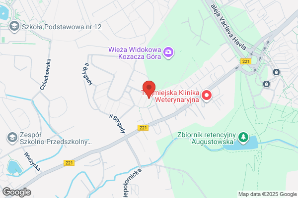 Arton 3 SC. Strojenie, naprawa fortepianów i pianin
