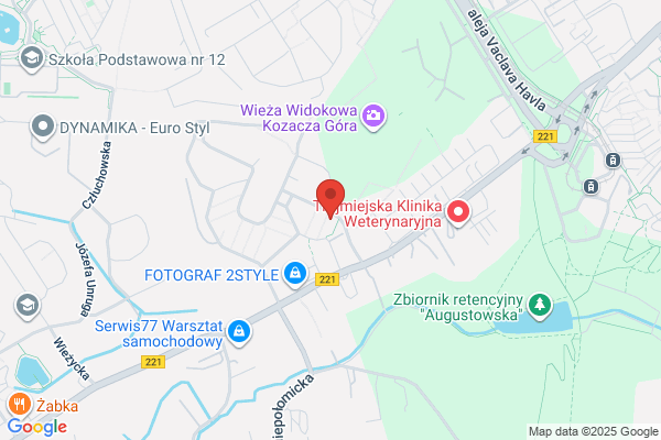 Wasielewski Marek. Biegly sadowy. Strojenie, naprawa, ekspertyzy pianin
