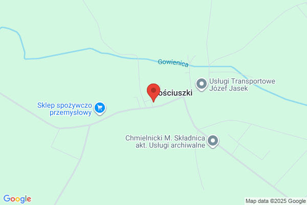 Wasiuk Waldemar. Konsulting
