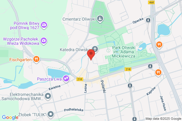Kuria Metropolitalna