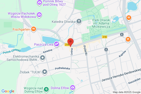 Ogród Cudów. Kwiaciarnia. Chomicz - Pijagin M.