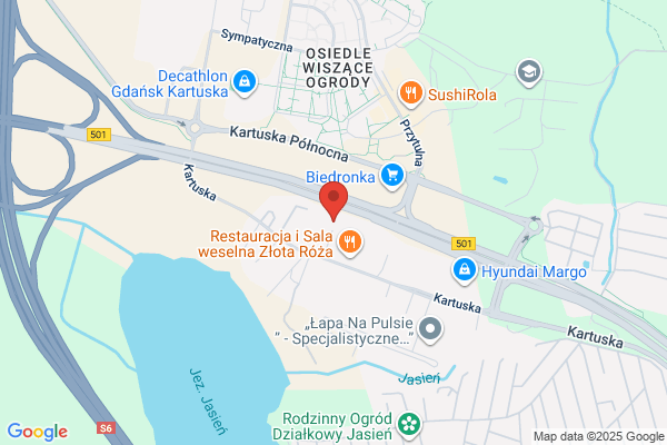Kierznikiewicz K.K. Hurtownia kwiatów i art. ogrodniczych