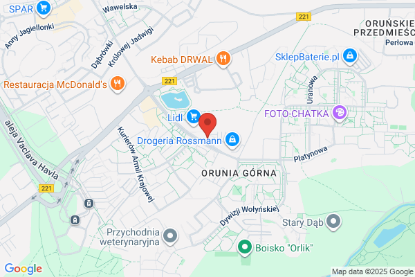 Badaniarynku.pl. Pluzinska D.
