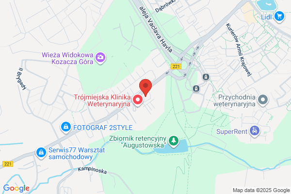 Zomkowski Witold. Analizy psychometryczne
