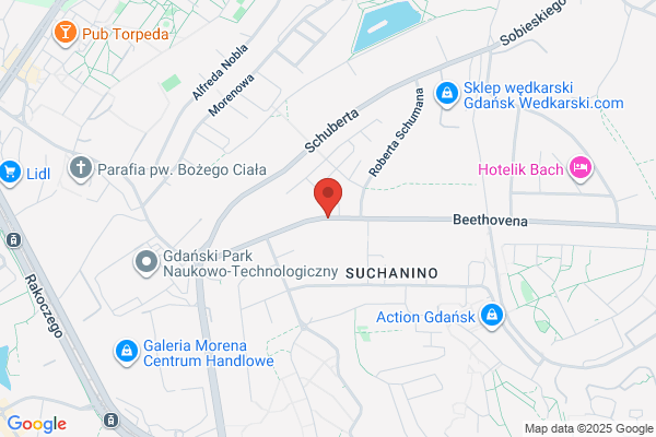 Kingpol Security. Agencja ochrony