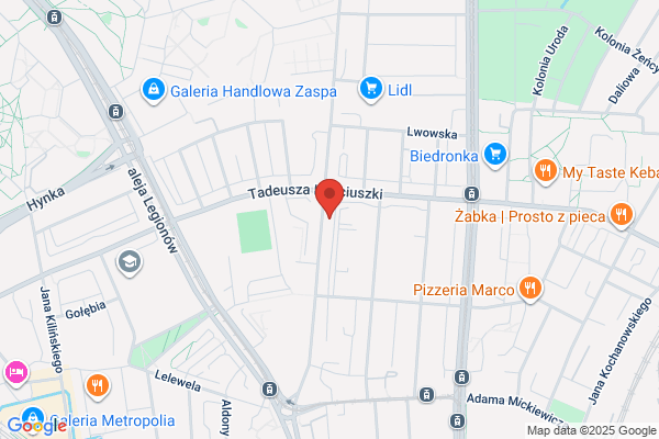 Jakimowicz Rafal. Pozlotnictwo i renowacja obrazów