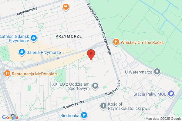 Specjalny Osrodek Rewalidacyjno - Wychowawczy dla Dzieci i Mlodziezy z Autyzmem