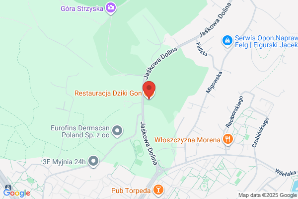 Stoppówka. Gosciniec