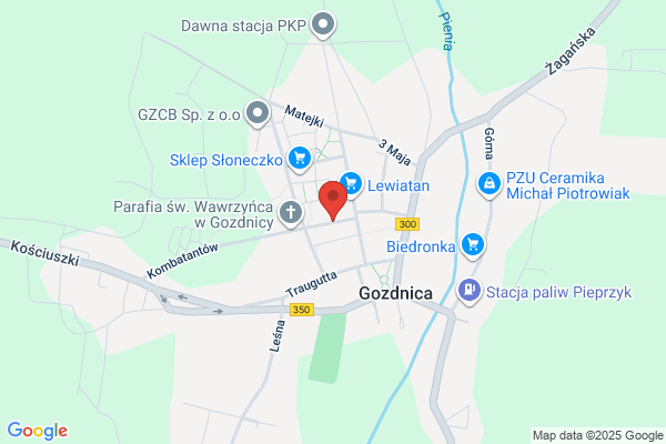 Parking strzezony