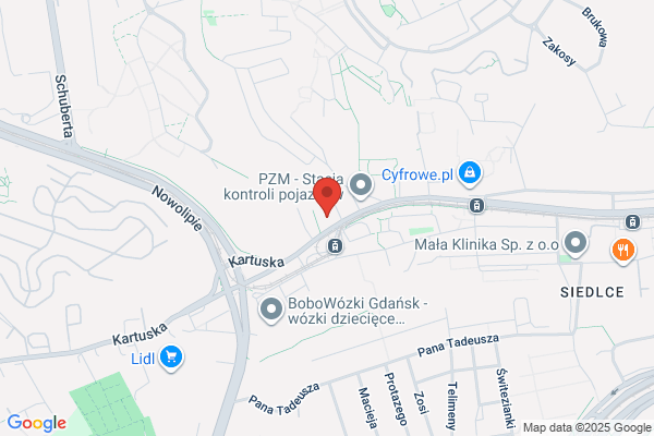 Planeta. Pizzeria. Dania obiadowe