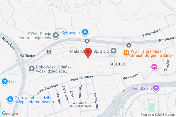 Dabrowska Marzanna. Pracownia protetyki