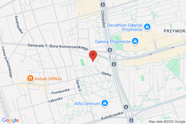 Przedszkole nr 49. Mis