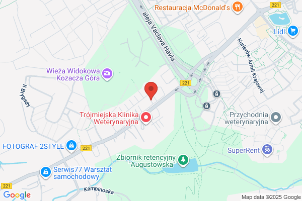 Wital. Biuro rachunkowe. Switkowski Witold. S C