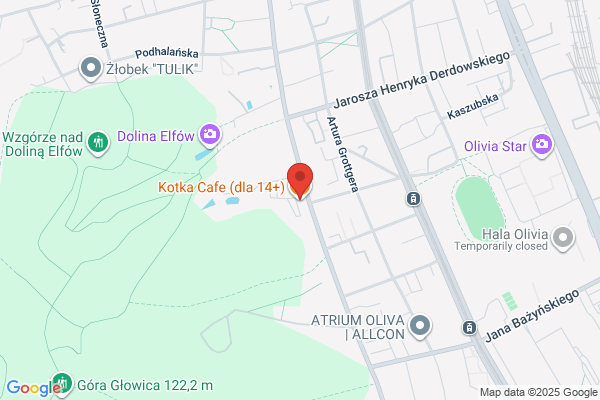 Kociak. Kociak Z.