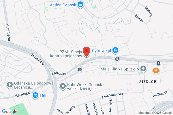 PZMot. Stacja kontroli pojazdów
