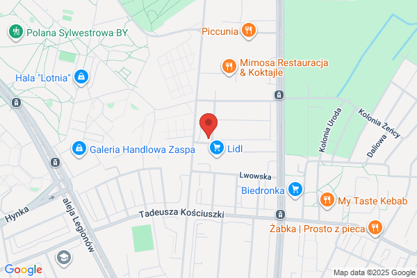 Kozlowski Roman. Regeneracja gazników i regulacja silników