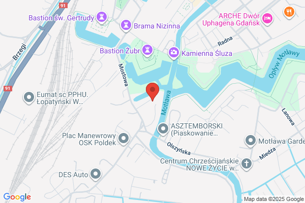 Auto Manix. Naprawa, obsluga, regulacja. Maniecki G.