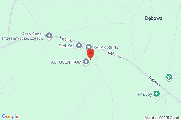 Auto-Serwis