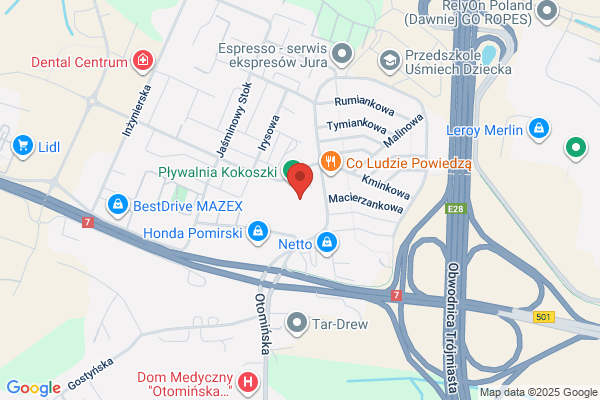Plywak. Szkola plywania. Obozy rekreacyjno - sportowe