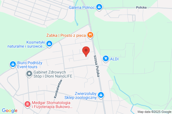 Amma-Bus. Uslugi transportowe. Ziólkowski A.