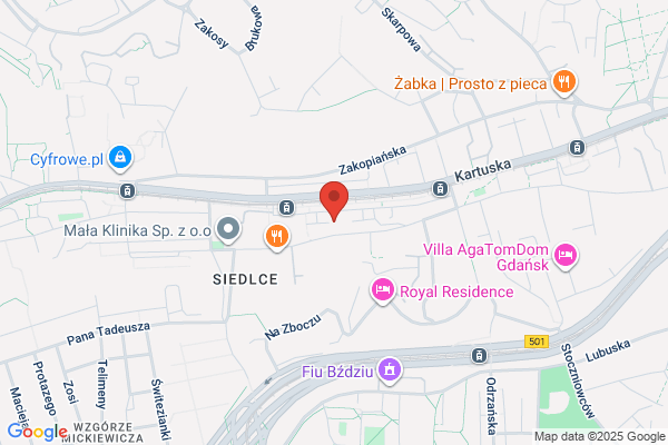 Grecki Maciej. Transport ciezarowy, drogowy