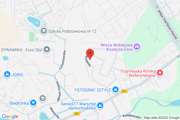 Czyzewski i Synowie SC. Tworzywa sztuczne dla motoryzacji