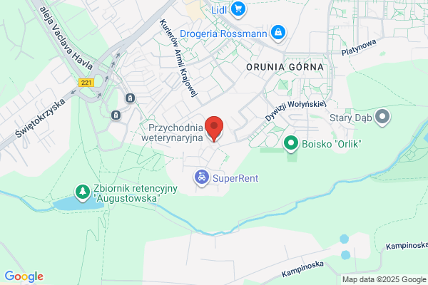 Przychodnia weterynaryjna, uslugi weterynaryjne
