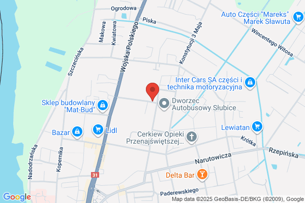 BUS. Przedsiebiorstwo przewozów pasazerskich