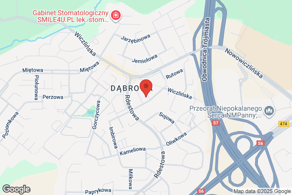 Kroplewski Jaroslaw, biegly sadowy. Ekspertyzy mykologiczno - budowlane