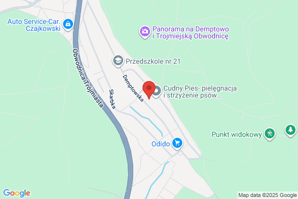 Chem-Us SC. Kozera F., dr inz. Dezynfekcja obiegu wody pitnej. Doradztwo