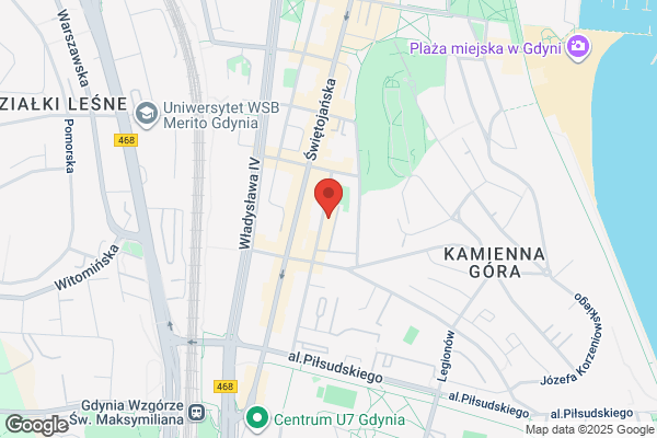 Geoidea. Uslugi geodezyjno - kartograficzne. Orlowski T., inz.