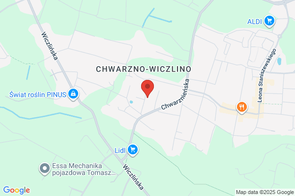 Jankiewicz Jerzy. Uslugi geodezyjne