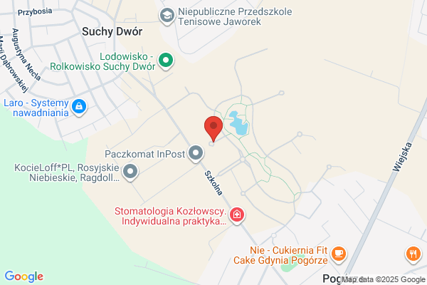 Szkudlarska Monika. Nauka jez. obcych