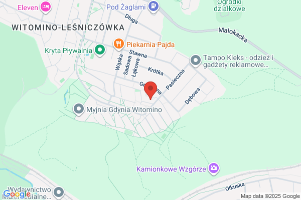 Skimedia. Mieczynski T.