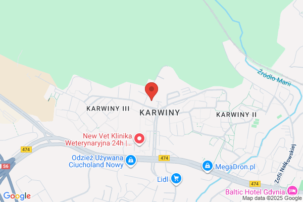 Parafia rzymskokatolicka Niepokalanego Serca Maryi