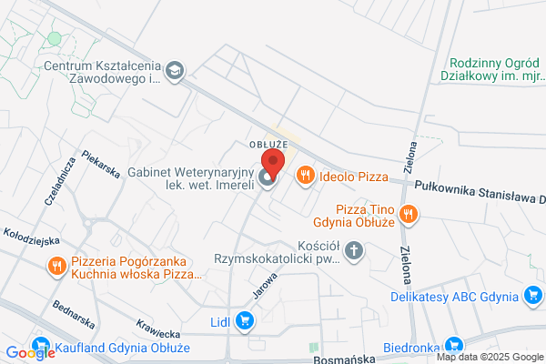 Podkowski Ryszard, lek. stomatolog. Spec. II stopnia chirurgii stomatologicznej
