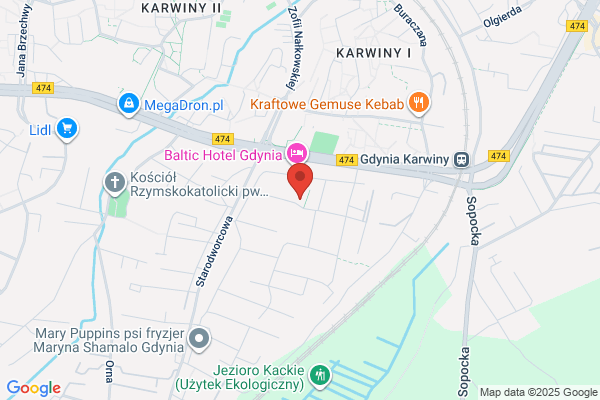 Centrum Pansofia terapia neurologopedyczna