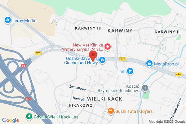 Schenk Wojciech. Maszynopisanie komputerowe