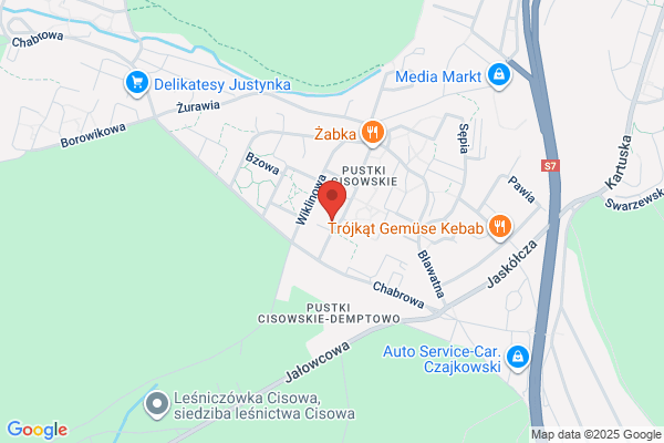 Protynk. Tynki maszynowe. Mikulski W.