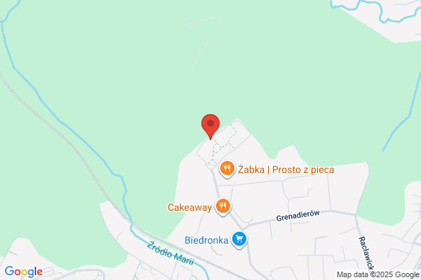 Paramedic. Ratownictwo medyczne. Rudzinski P.