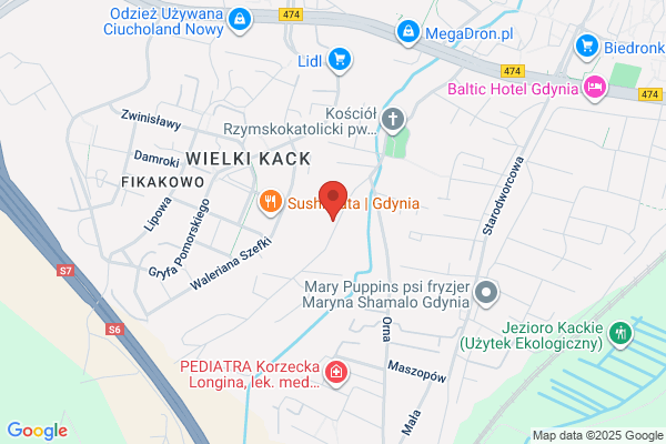 Witt Adam. Biuro rachunkowe